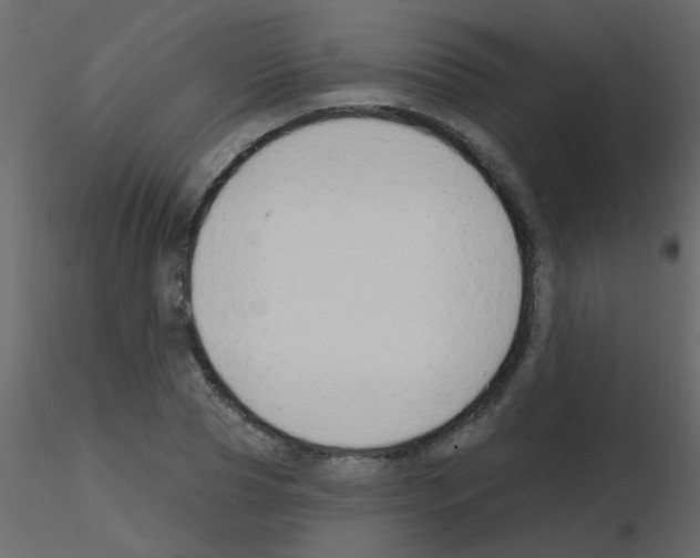 X0000115770929200912241747