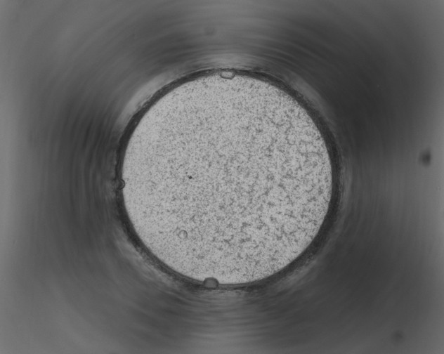 X0000115770930200912241747
