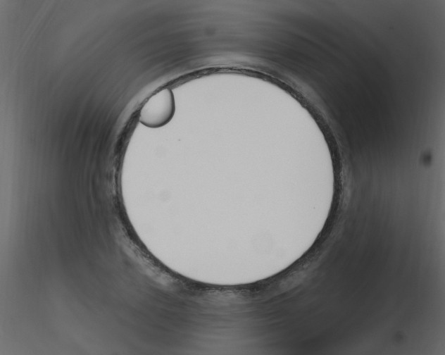 X0000115770931200912241747