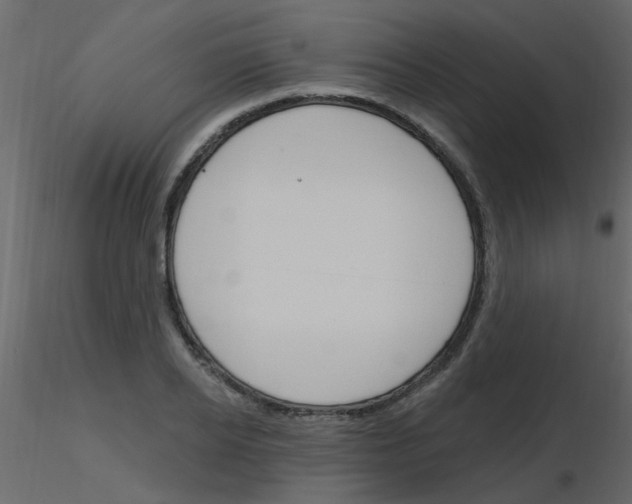 X0000115770934200912241747