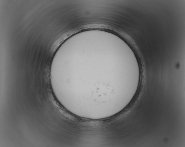 X0000115770937200912241747