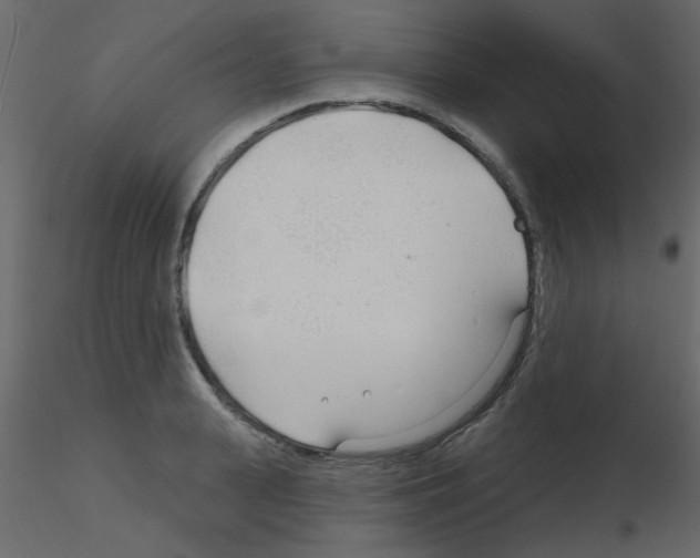 X0000115770943200912241747