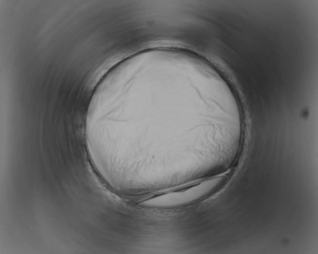 X0000115770945200912241747