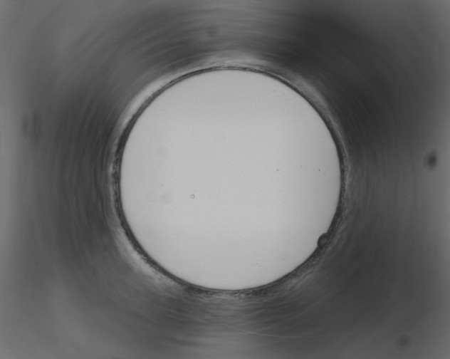 X0000115770947200912241747