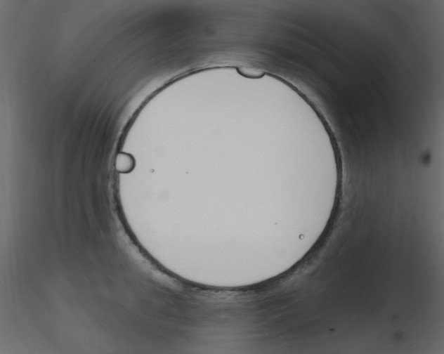 X0000115770949200912241747