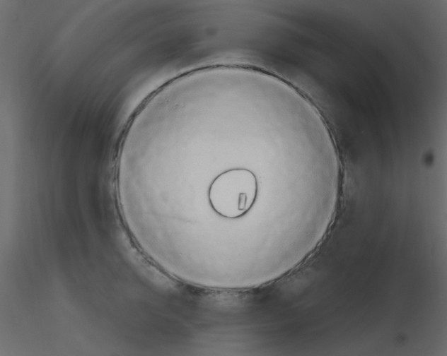 X0000115770950200912241747
