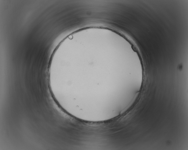 X0000115770951200912241747