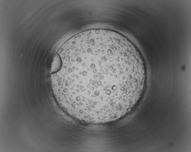 X0000115770953200912241747