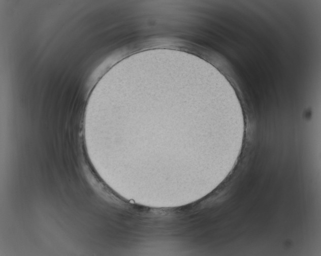 X0000115770954200912241747