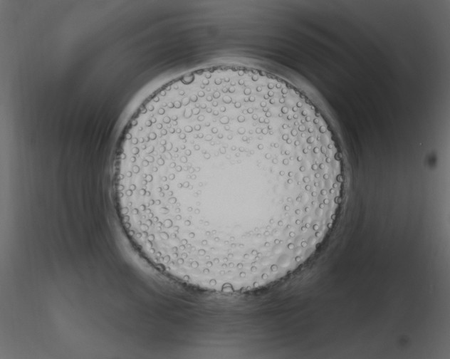 X0000115770955200912241747