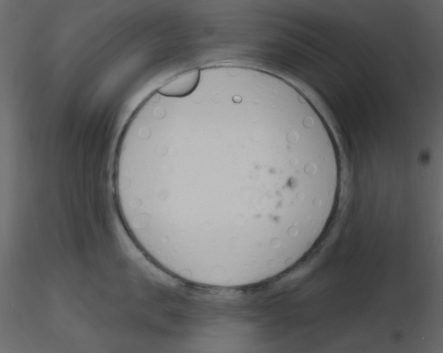 X0000115770957200912241747
