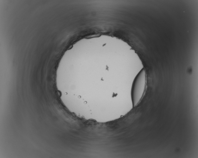 X0000115770961200912241746