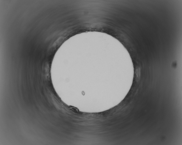X0000115770963200912241746