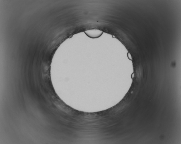 X0000115770964200912241746