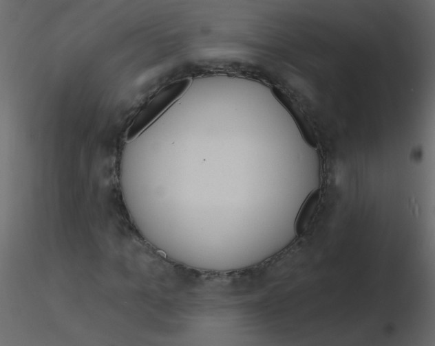 X0000115770965200912241746