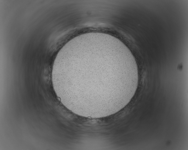 X0000115770966200912241746