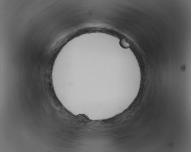X0000115770967200912241746