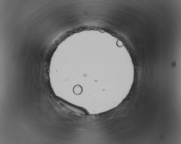 X0000115770968200912241746
