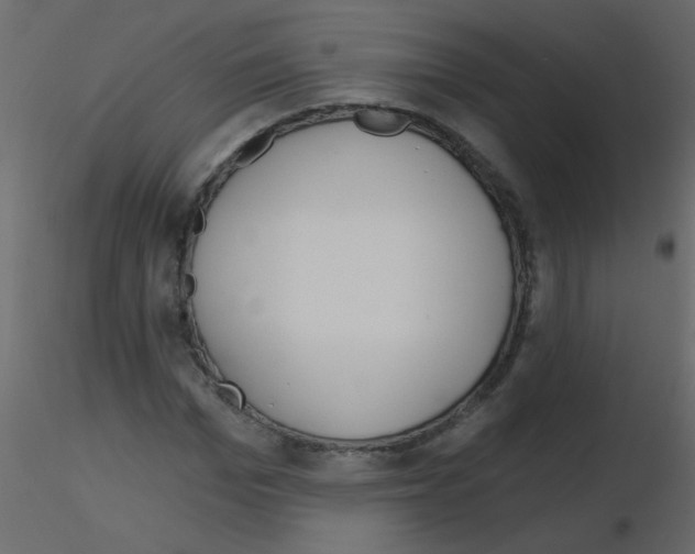 X0000115770969200912241746