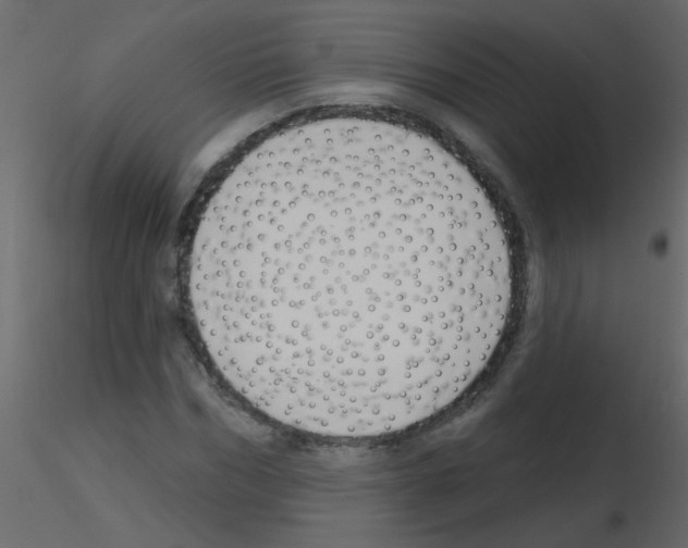 X0000115770970200912241746