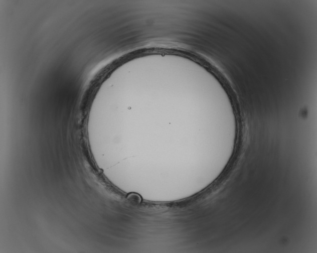 X0000115770971200912241746