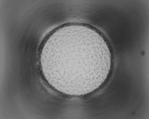 X0000115770974200912241746
