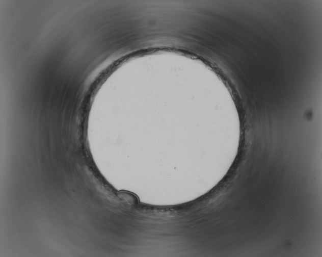 X0000115770975200912241746