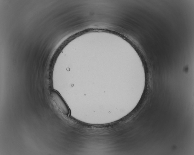 X0000115770976200912241746