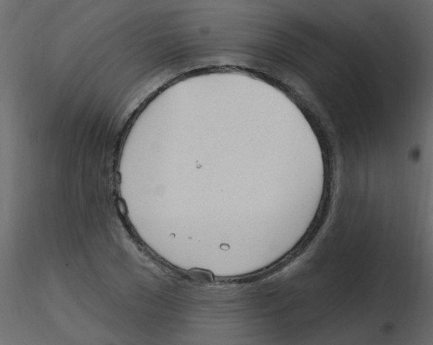 X0000115770977200912241746