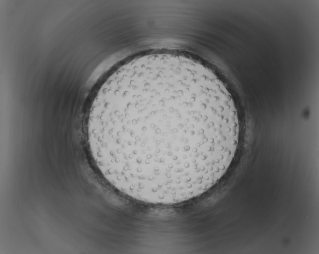 X0000115770978200912241746