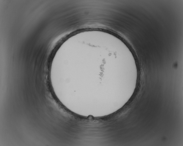 X0000115770979200912241746