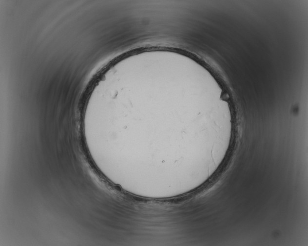 X0000115770981200912241746