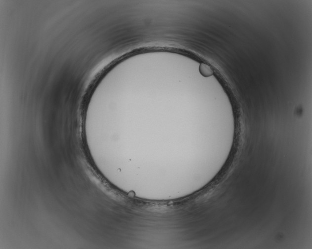 X0000115770982200912241746