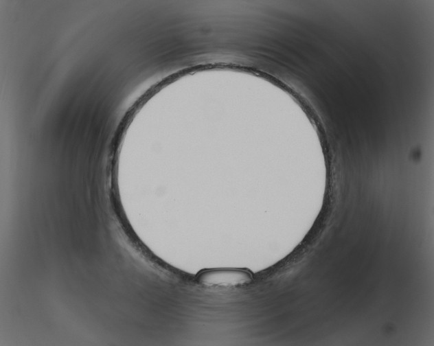 X0000115770983200912241746