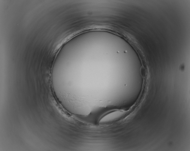 X0000115770985200912241746