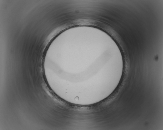 X0000115770986200912241746