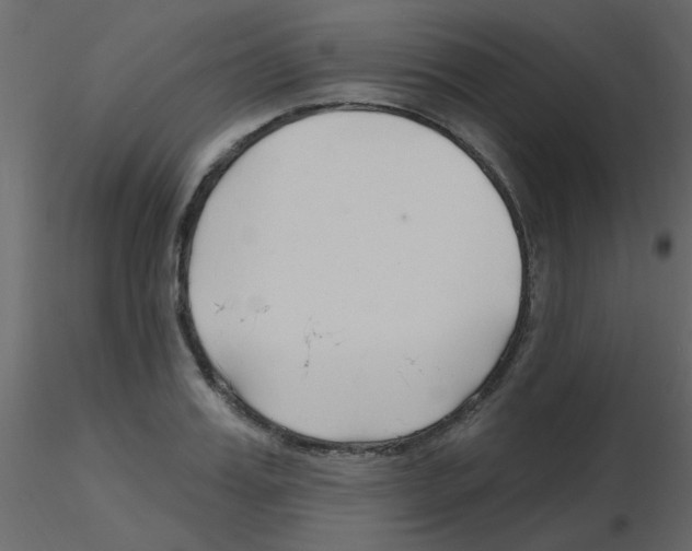 X0000115770987200912241746