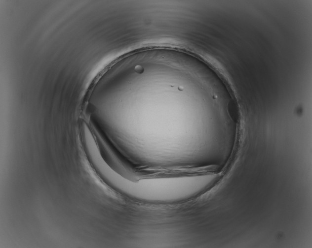 X0000115770989200912241746