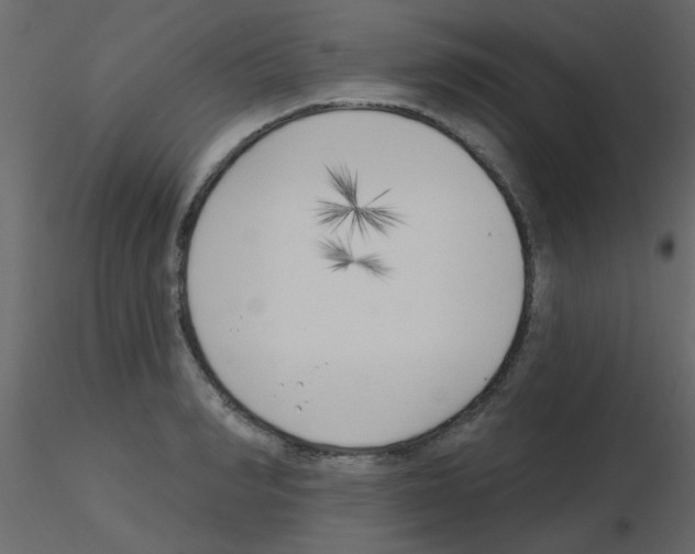 X0000115770990200912241746