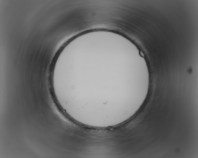 X0000115770991200912241746