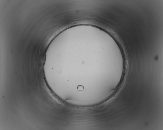 X0000115770993200912241746