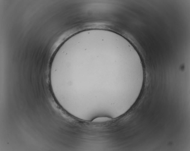 X0000115770994200912241746