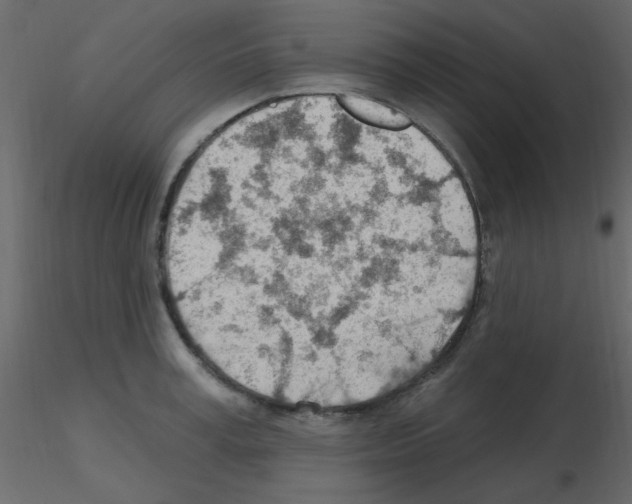 X0000115770995200912241746