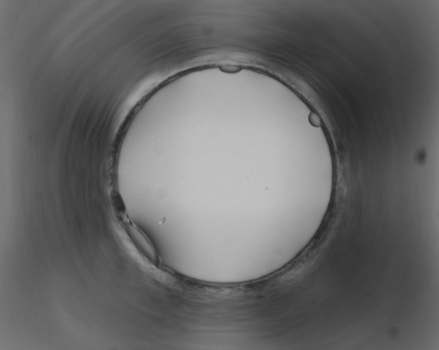 X0000115770997200912241746