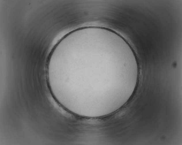 X0000115770998200912241746
