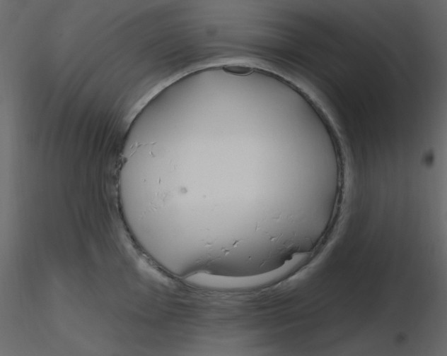 X0000115771001200912241746