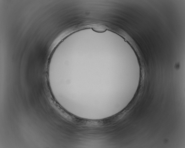X0000115771002200912241746