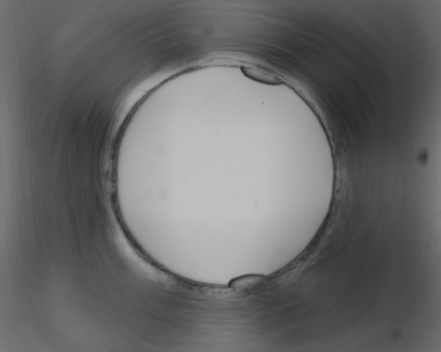 X0000115771003200912241746