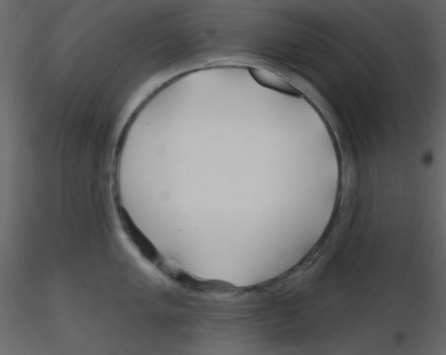 X0000115771005200912241746
