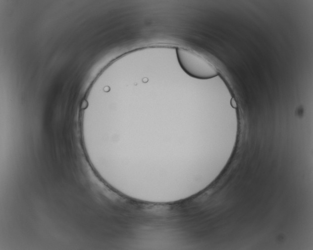 X0000115771006200912241746